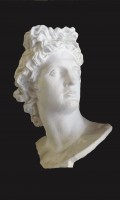 Sculpture d Apollon del Belvedere dim. 50 x 30