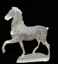 Cheval dim. 73 x 65